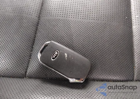 2020 Kia Telluride Ex из США, поврежденный, VIN 5XYP3DHC6LG037967